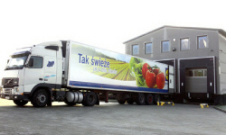 POLISH FIRMS