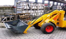 ��������� ������������� ������������ � �������� ��������� ������� ���� POLISH FIRMS