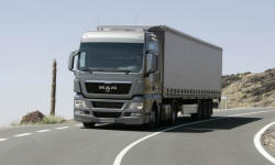 POLISH FIRMS