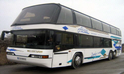 POLISH FIRMS